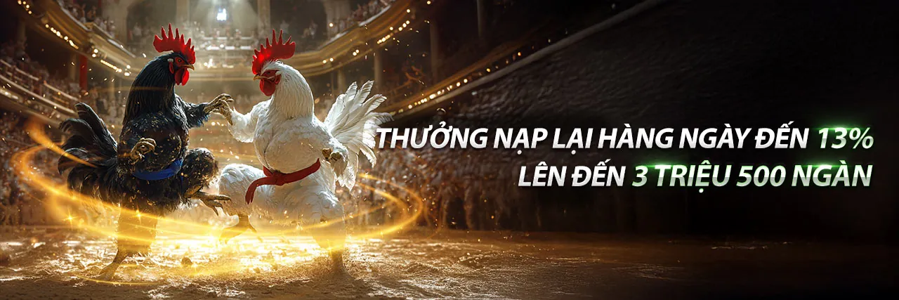 Tin tức MN888 mới nhất